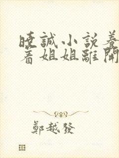 晓诚小说养父带着姐姐离开后封面