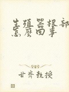 生殖器根部瘙痒怎么回事