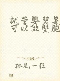 试管婴儿是不是可以做双胞胎