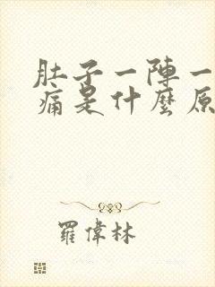 肚子一阵一阵的痛是什么原因