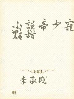 小说帝少宠妻有点甜封面