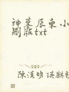 神墓辰东小说未删版txt