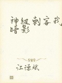 神级刺客我既是暗影