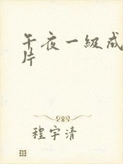 午夜一级成人大片