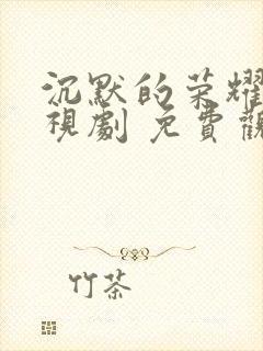 沉默的荣耀 电视剧 免费观看