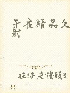 午夜精品久久内射