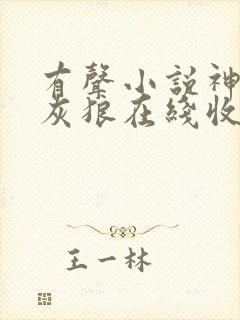 有声小说神墓大灰狼在线收听