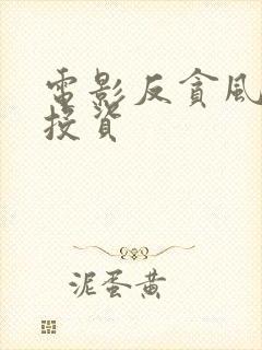 电影反贪风暴5投资