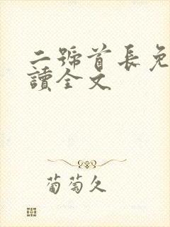 二号首长免费阅读全文封面