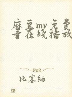 麻豆mv免费观看在线播放