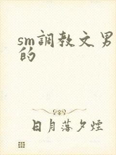 sm调教文男男的