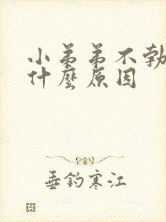 小弟弟不勃起是什么原因