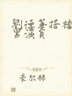 刘德华搭档过的男演员