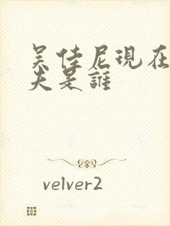 吴佳尼现在的丈夫是谁