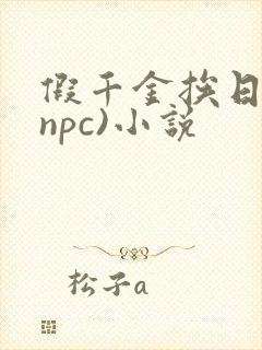 假千金挨日记(npc)小说