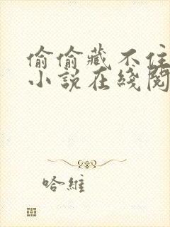 偷偷藏不住原著小说在线阅读