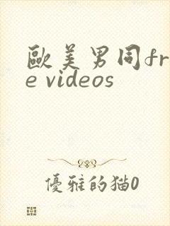 欧美男同free videos