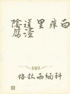 阴道里痒白色豆腐渣