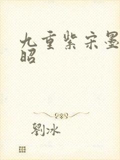 九重紫宋墨和窦昭