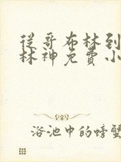 从哥布林到哥布林神免费小说