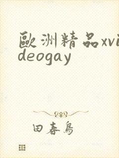 欧洲精品xvideogay
