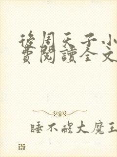 后周天子小说免费阅读全文最新章节