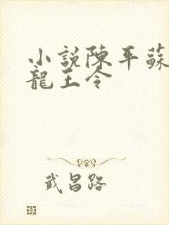 小说陈平苏雨琪龙王令