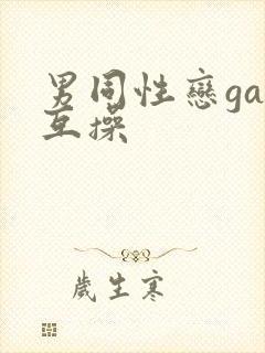 男同性恋gay互操