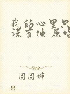 我的心里只有你没有他 原唱