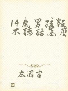 14岁男孩叛逆不听话怎么办