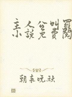 主人公叫罗铮的小说免费阅读笔趣阁