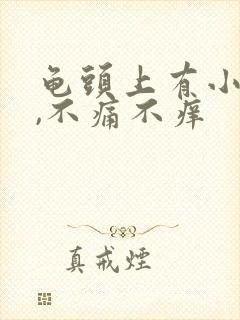 龟头上有小肉粒,不痛不痒