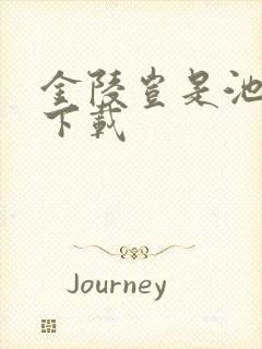 金陵岂是池中物下载封面