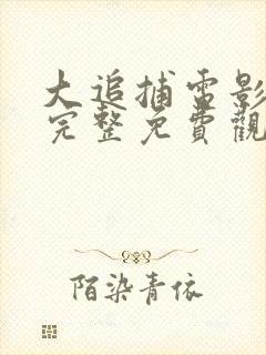 大追捕电影在线完整免费观看国语