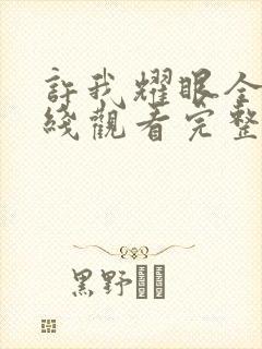 许我耀眼全集在线观看完整版免费