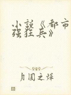 小说《都市之最强狂兵》