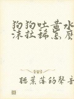 狗狗吐黄水带泡沫拉稀怎么办