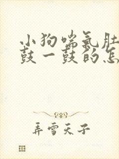 小狗喘气肚子一鼓一鼓的怎么办