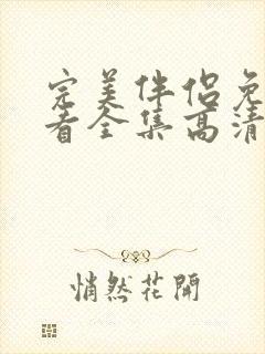 完美伴侣免费观看全集高清版电视剧