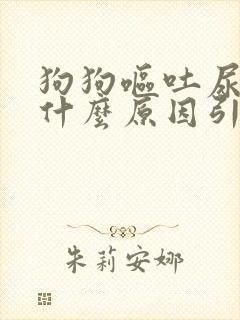 狗狗呕吐尿黄是什么原因引起的封面