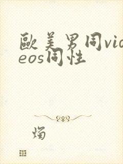 欧美男同videos同性封面