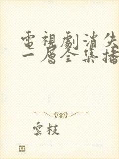 电视剧消失的十一层全集播放