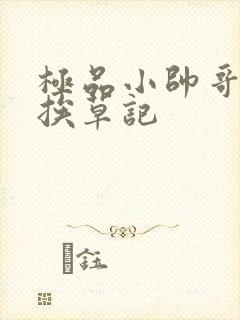 极品小帅哥连环挨草记