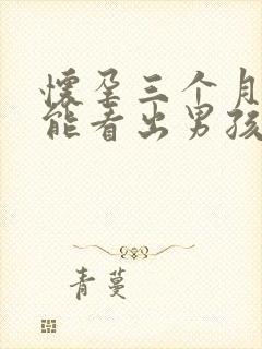 怀孕三个月b超能看出男孩女孩吗