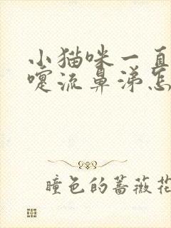 小猫咪一直打喷嚏流鼻涕怎么回事?