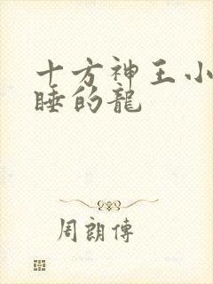 十方神王小说贪睡的龙