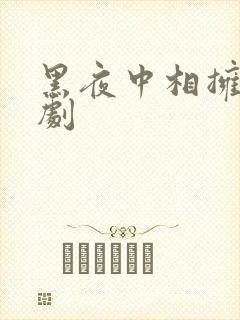 黑夜中相拥电视剧