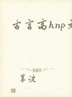 古言高hnp文