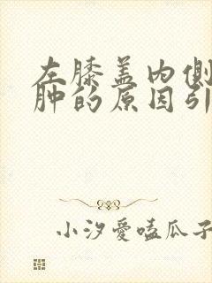 左膝盖内侧疼痛肿的原因引起的