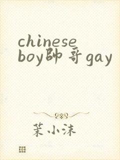 chineseboy帅哥gay